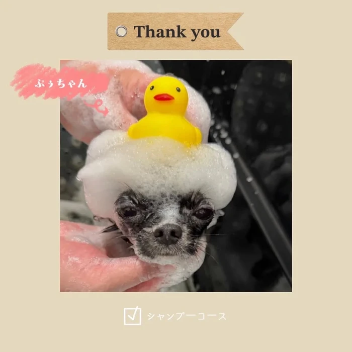 画像599