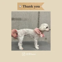 画像618