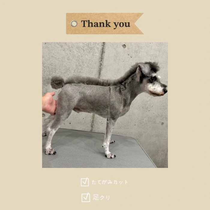画像634