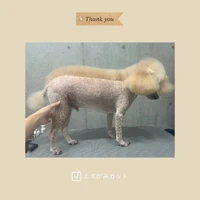 画像635