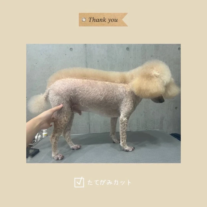 画像635