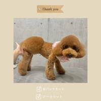 画像639