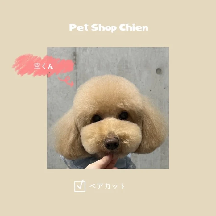 画像642