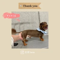 画像677