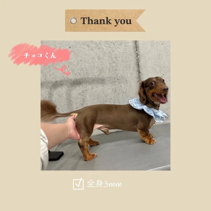 画像677