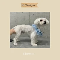 画像685
