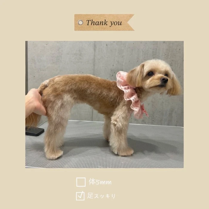 画像689