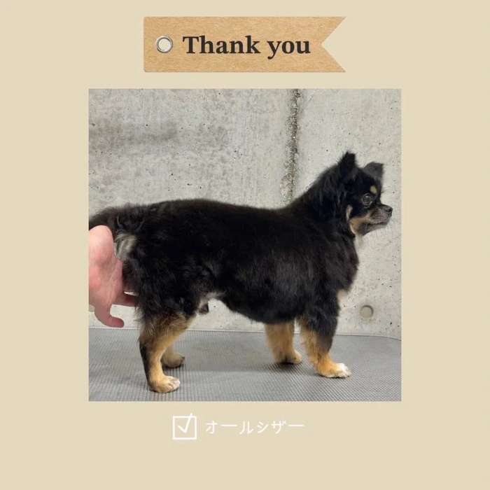 画像697