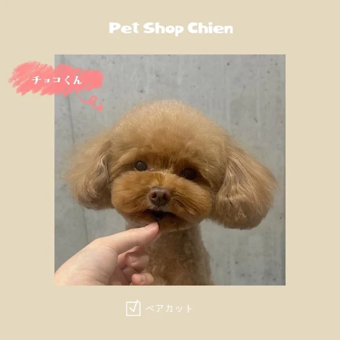 画像700