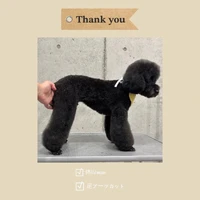 画像705