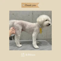 画像711