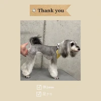 画像718