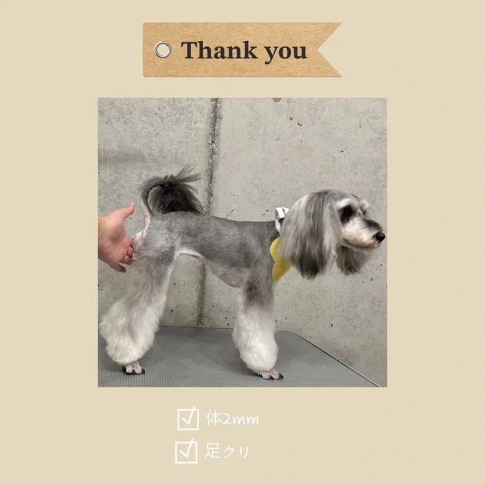 画像718