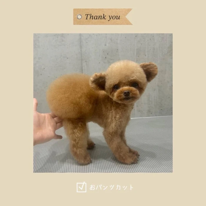 画像724