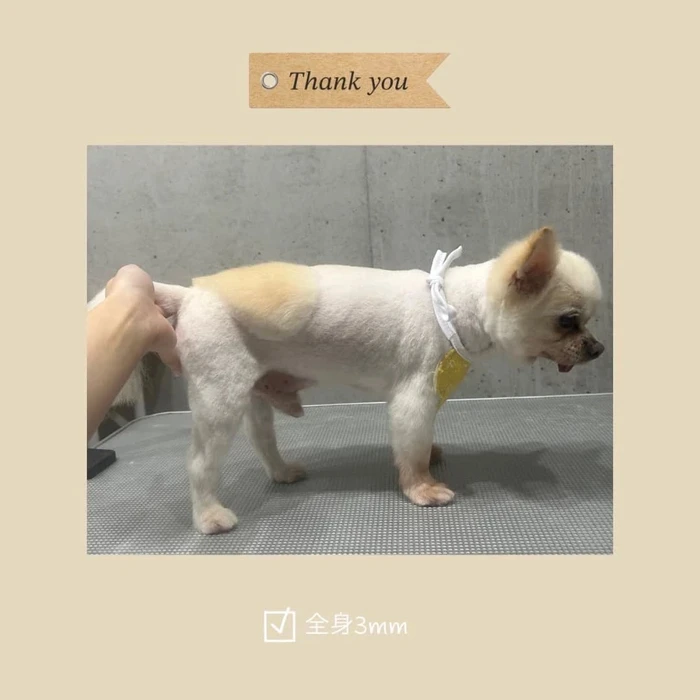 画像725