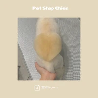 画像726