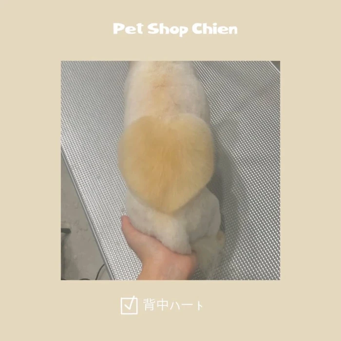 画像726
