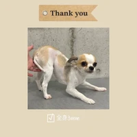 画像734