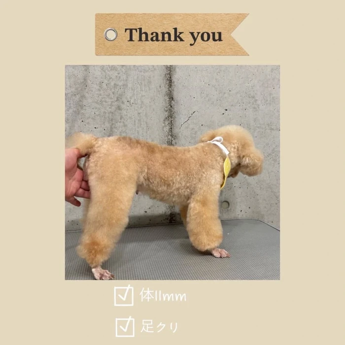 画像745