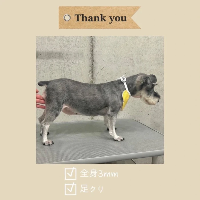 画像748