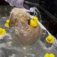 画像756