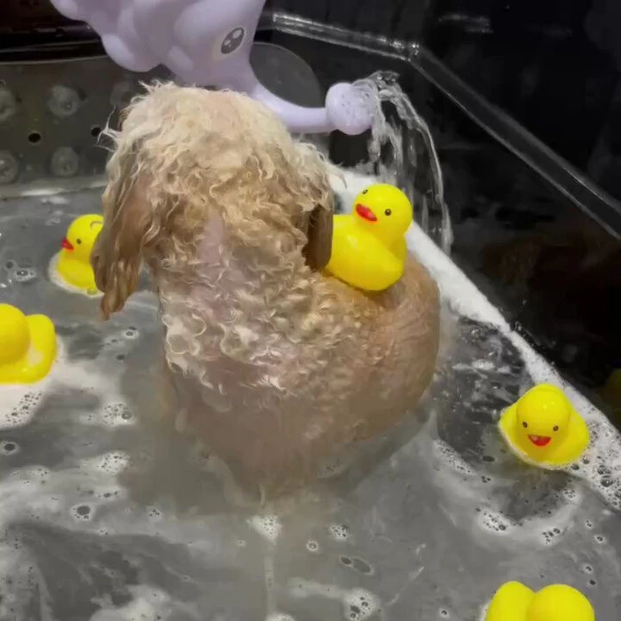 画像756