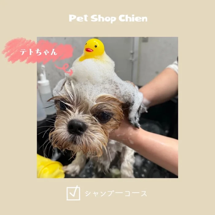 画像775