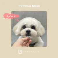 画像780