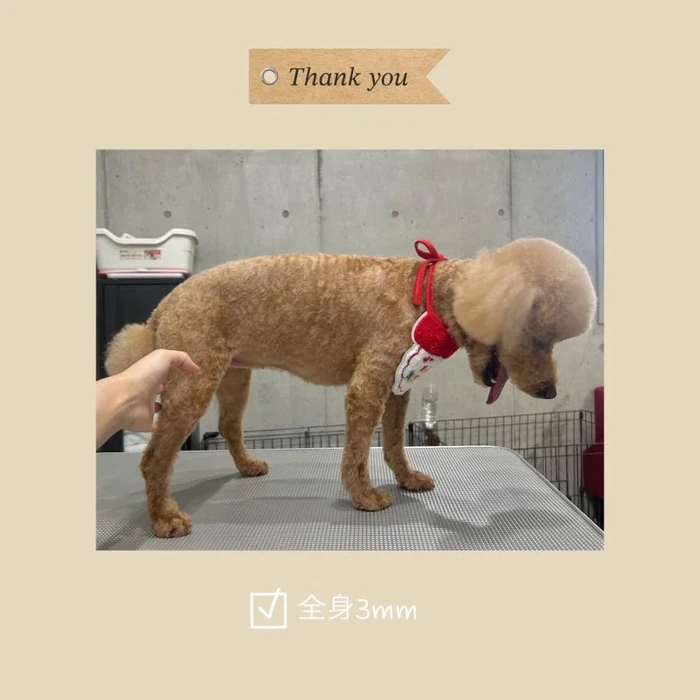 画像785