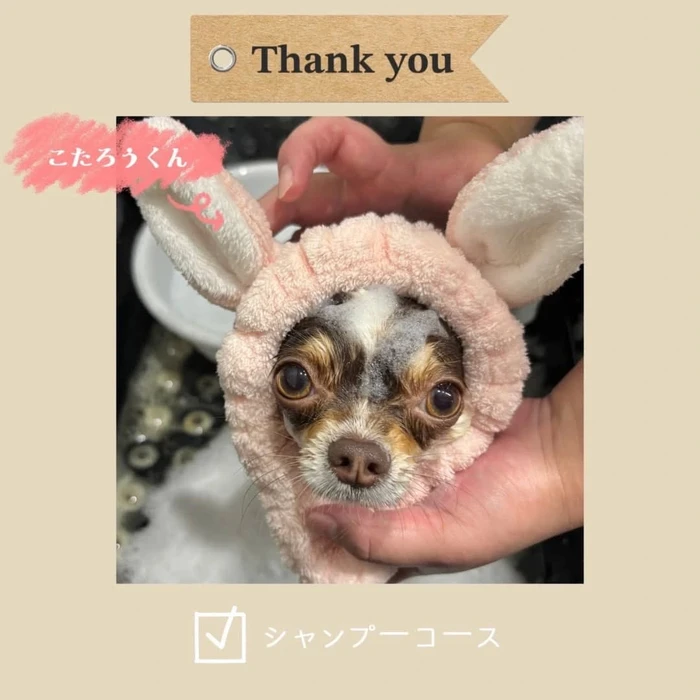 画像796