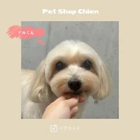 画像806
