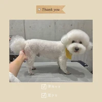 画像815