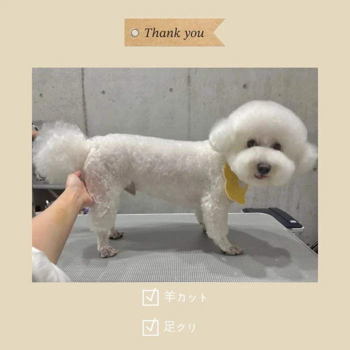画像815