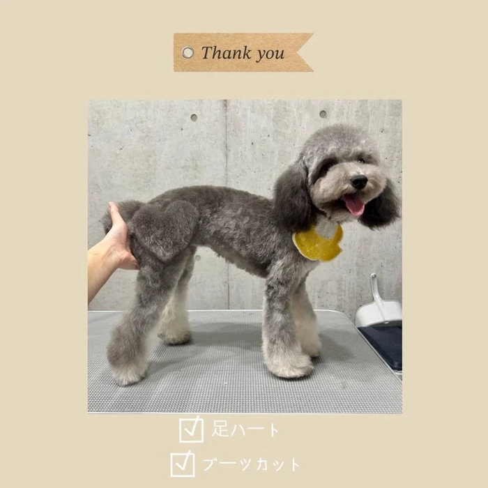 画像825