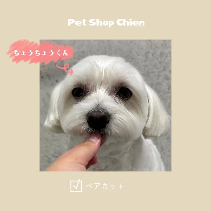 画像831