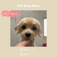 画像839