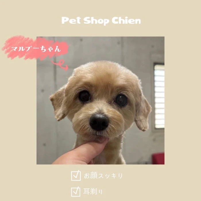 画像839