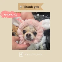 画像847
