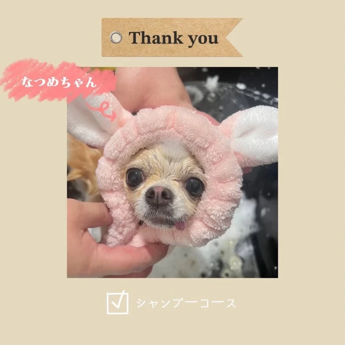 画像847
