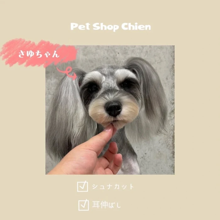 画像869