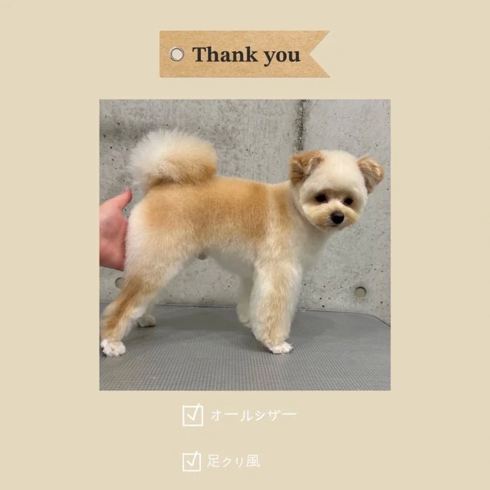 画像876