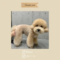 画像877