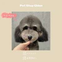 画像891