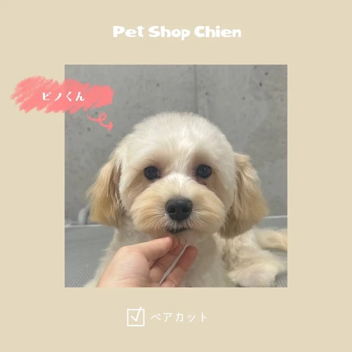 画像900