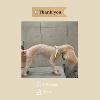 画像903