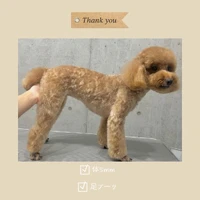 画像922