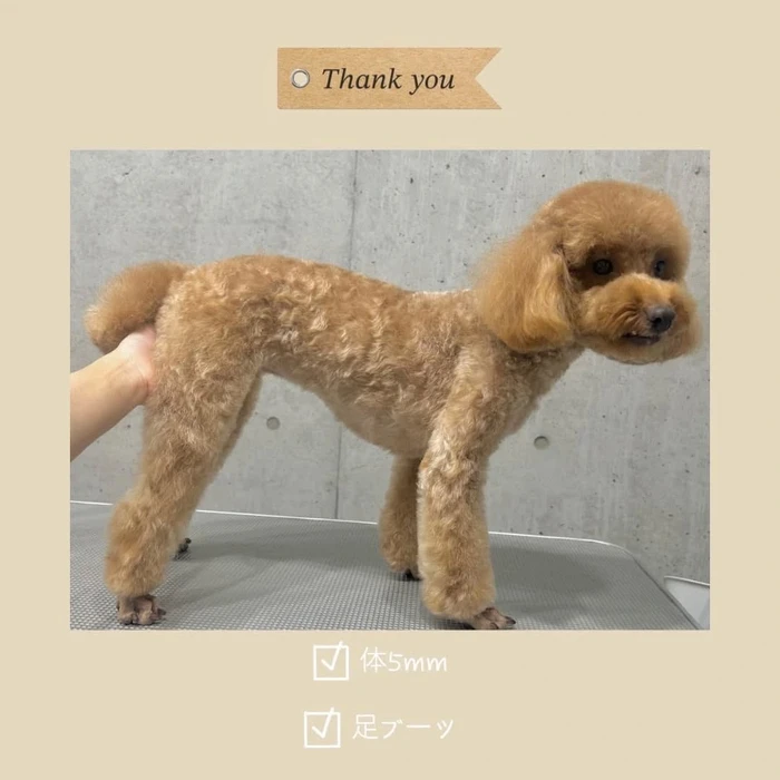 画像922