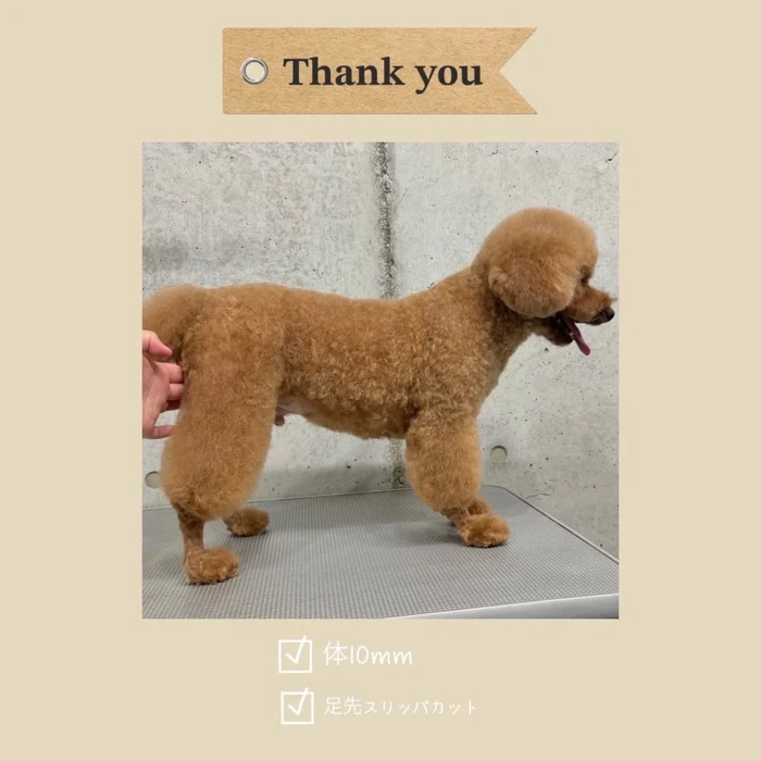 画像933