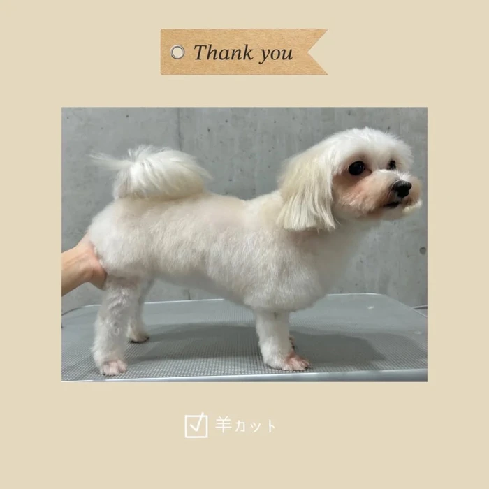 画像947