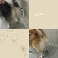画像962
